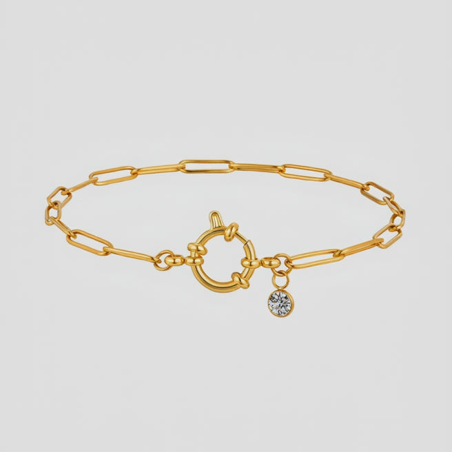 Aster Links Waterproof Anklet