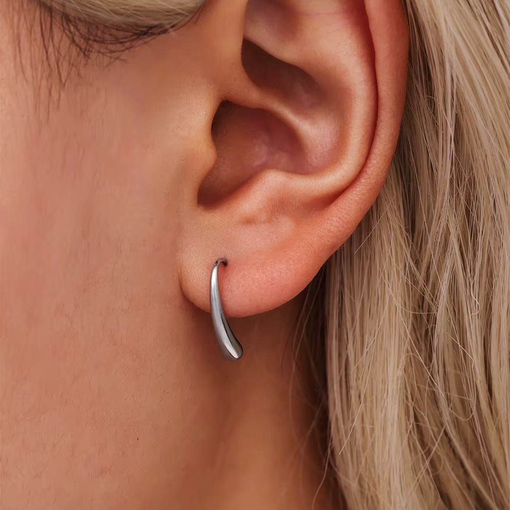 Swan Hook Sterling Silver Earrings