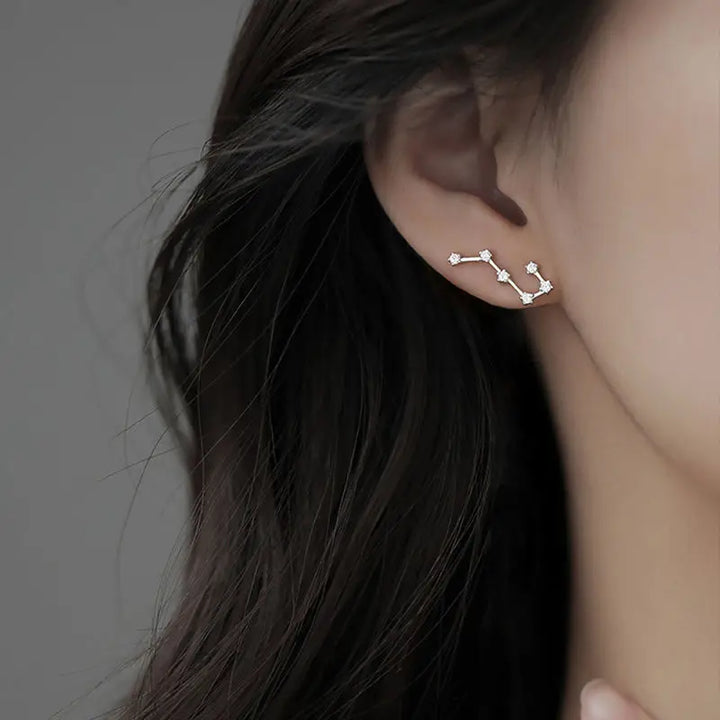 Northbound Dangle Earrings
