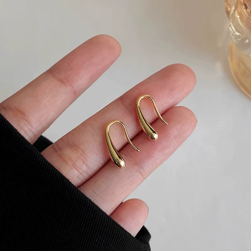 Swan Hook Sterling Silver Earrings