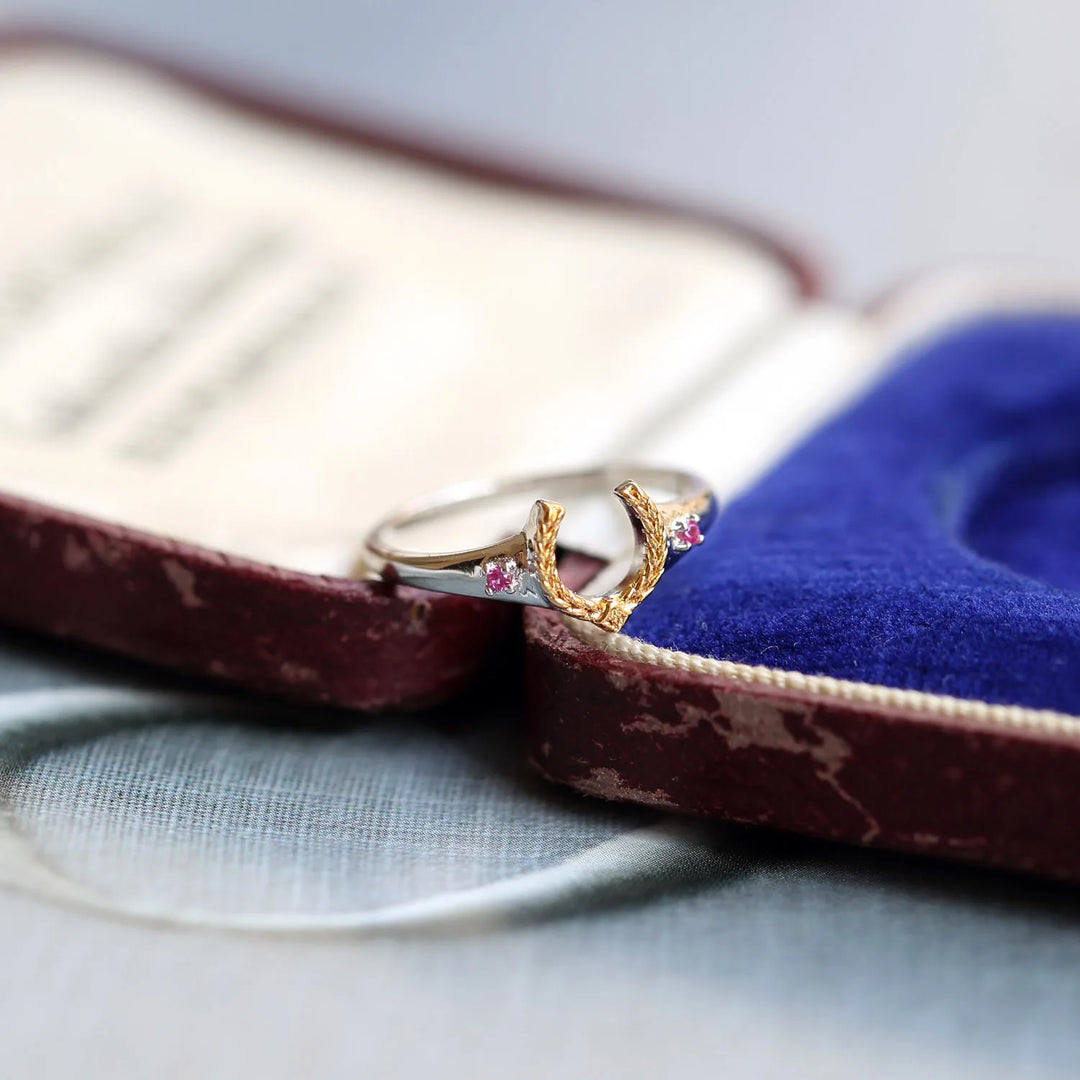 Équilina Gallery Silver Ring