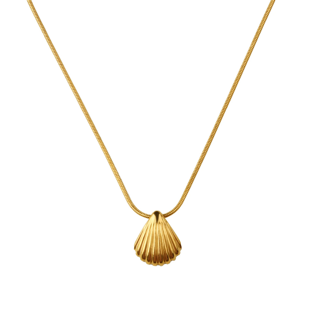 Claremont Shell Necklace